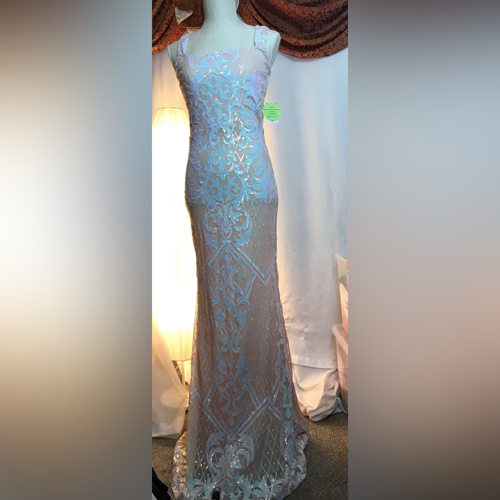 Windsor Nude Beautifully Beaded Long Gown. Size: Medium
